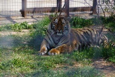 Прикрепленное изображение: A58-2 DSC00356.JPG